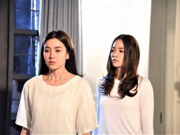 Từ quê lên thăm chị gái đẻ, tôi điếng người nhìn việc anh rể giàu có làm với vợ 