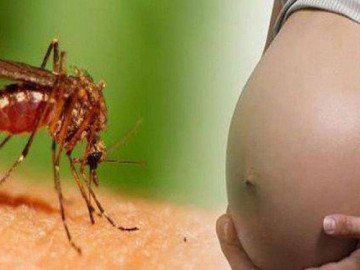 Mang thai bị sốt xuất huyết, phải làm sao?