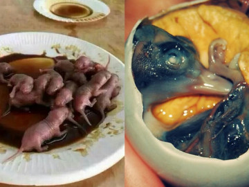 6 món ăn kinh dị nhất hành tinh chỉ nghe tên đã “rợn tóc gáy”, 2 món dân dã của Việt Nam bất ngờ lọt top
