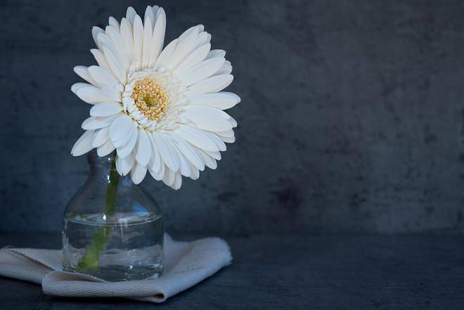 Dù thân đến mấy, khi đến chơi nhà người khác cũng nhớ chú ý 3 điều - 3