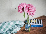 Eva tám - Dù thân đến mấy, khi đến chơi nhà người khác cũng nhớ chú ý 3 điều