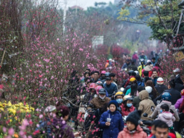 Còn bao nhiêu ngày nữa đến Tết Nguyên Đán năm 2023?