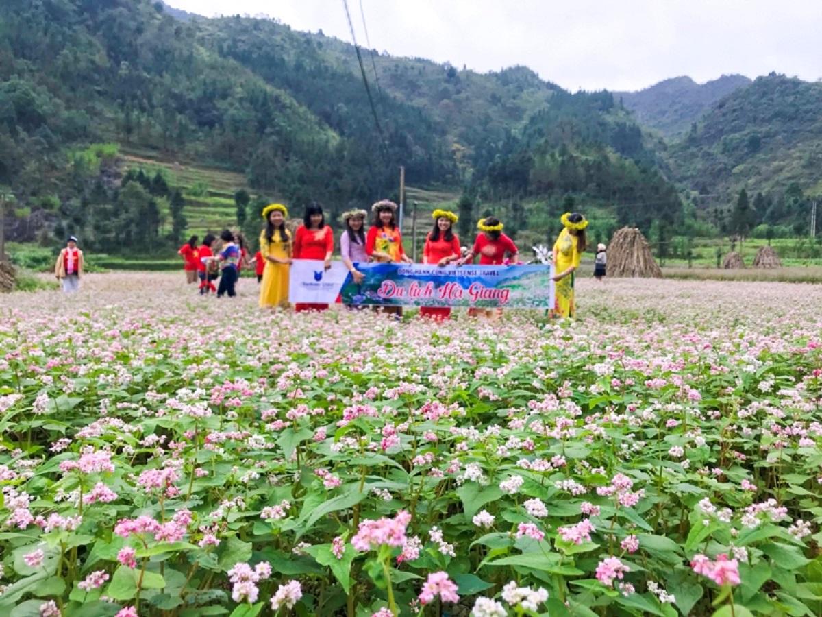 Top 6 địa điểm ngắm hoa tam giác mạch dành cho các tín đồ đam mê du lịch - 2