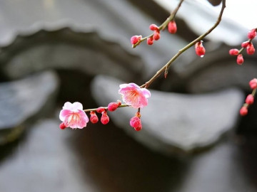 Có 2 kiểu người, quan hệ dù tốt đến mấy cũng đừng kết thân