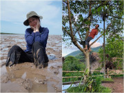 Giải trí - Vợ Tây của Bùi Tiến Dũng về quê chồng cào lúa, người đẹp VTV lội bùn, trèo cây gây chú ý