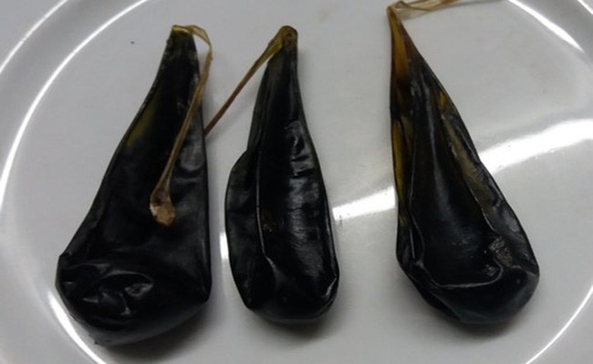 ... hay nuốt mật lợn tươi hoặc khô đều phải cẩn trọng vì sử dụng tùy tiện bởi có thể gây nguy hiểm đến sức khỏe bà bầu. (Ảnh minh họa)