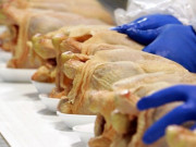 Sức khỏe - Khuẩn Salmonella gây ngộ độc thực phẩm thường ẩn nấp trong thực phẩm nào? Cách diệt tận gốc loại khuẩn nguy hiểm này