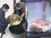 Tin tức - Nhặt được "miếng thịt" 25 kg, để nửa năm không bị hỏng, người đàn ông ngỡ ngàng khi biết sự thật