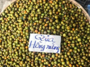 Tiêu dùng - Loại quả xưa rụng đầy không ai nhặt, nay thành đặc sản nổi tiếng hấp dẫn người dân thành phố, 45.000 đồng/kg