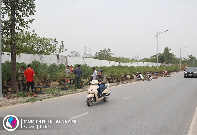 Trước một TTTM lớn ở quận Hà Đông, đào chưa được tuốt lá đã lên vỉa hè và có người đặt mua.