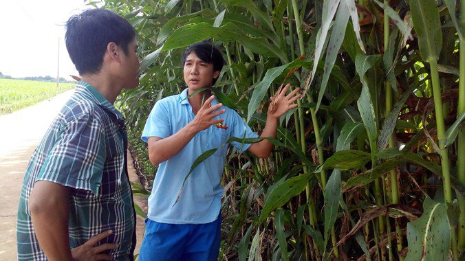 Món thời bao cấp ăn amp;#34;cứu đóiamp;#34;, nay thành đặc sản lạ được chị em thành phố ưa chuộng, 75.000 đồng/kg - 3