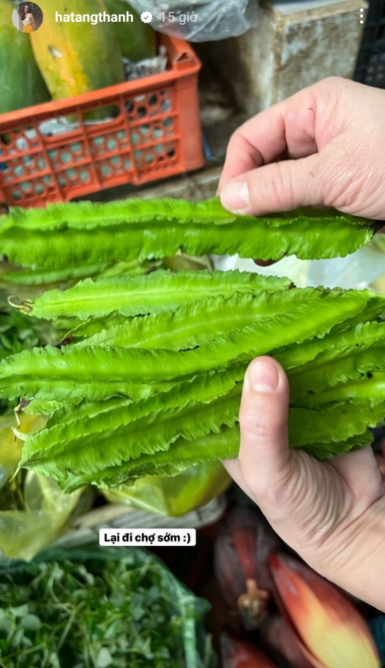 Cũng trong ngày qua, Tăng Thanh Hà hào hứng khoe việc đi chợ sớm để mua thức ăn cho cả nhà. Nàng dâu hào môn đi chợ bình dân, chọn được đậu rồng (đỗ khế) tươi ngon cũng khiến cô hào hứng.