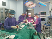 Sức khỏe - Sốt cao tới 39 độ vẫn "kệ cho tự khỏi", hai người đàn ông Hà Nội nguy kịch vì căn bệnh đang hoành hành