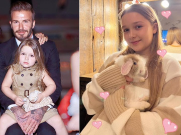 Con gái duy nhất của David Beckham giàu từ trong trứng nước, được giáo dục toàn diện tất cả các lĩnh vực