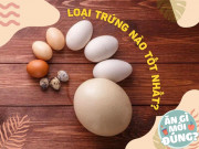 Sức khỏe - Trứng gà, trứng vịt, trứng ngỗng, trứng cút... loại nào bổ dưỡng nhất?
