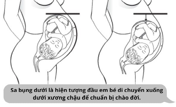 10 dấu hiệu sắp sinh mẹ bầu cần nắm rõ để đến viện ngay trước khi quá muộn - 1
