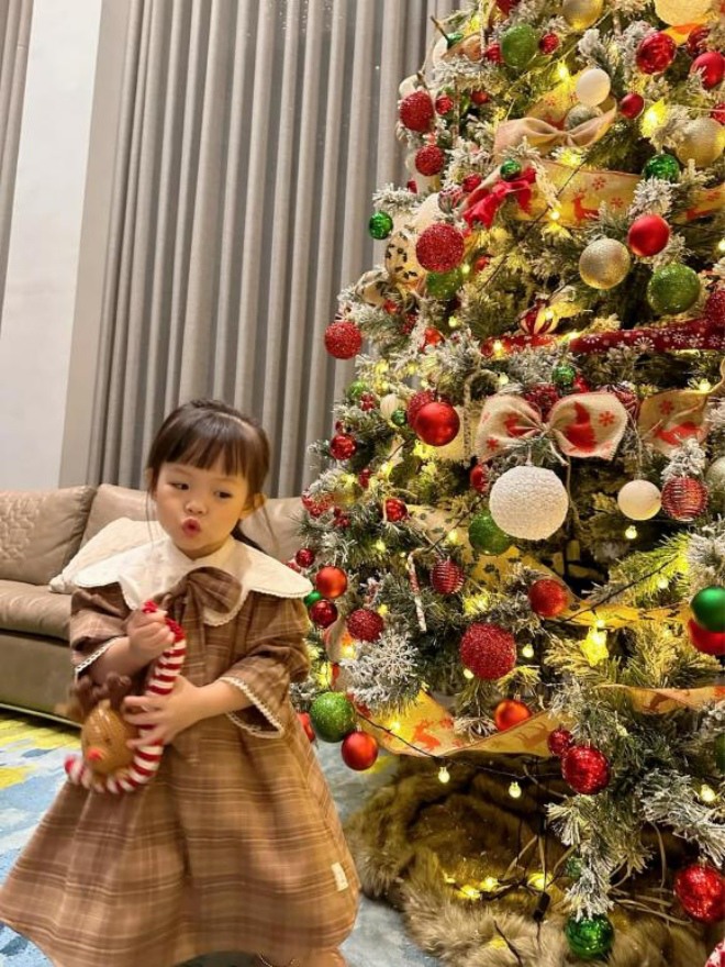 Mỹ nhân Việt hào hứng trang trí Noel sớm: Hà Tăng không bằng vợ đại gia gốc Hà Tĩnh này - 8