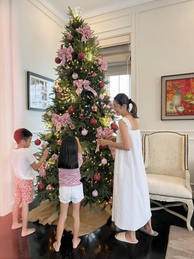 Mỹ nhân Việt hào hứng trang trí Noel sớm: Hà Tăng không bằng vợ đại gia gốc Hà Tĩnh này - 6