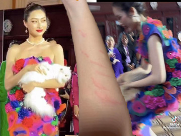 Catwalk với mèo, chị em Hoa hậu bị cào đỏ tay, Đỗ Thị Hà chao đảo trên sàn catwalk