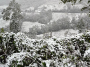 Tin tức - Rét kéo dài cả tháng 12, Tết Nguyên đán có khả năng rét đậm