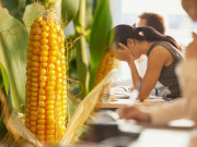 Sức khỏe - 70% phụ nữ sau 30 tuổi dễ mắc u xơ tử cung, bác sĩ chỉ ra 3 bảo bối đánh tan u xơ, có loại Việt Nam trồng nhiều