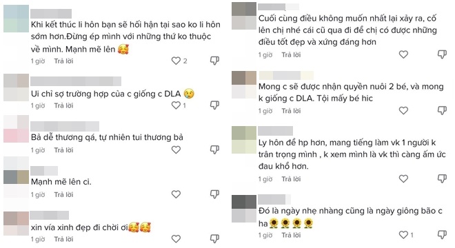 Một số khác lo lắng Elly Trần sẽ rơi vào hoàn cảnh giống Diệp Lâm Anh.