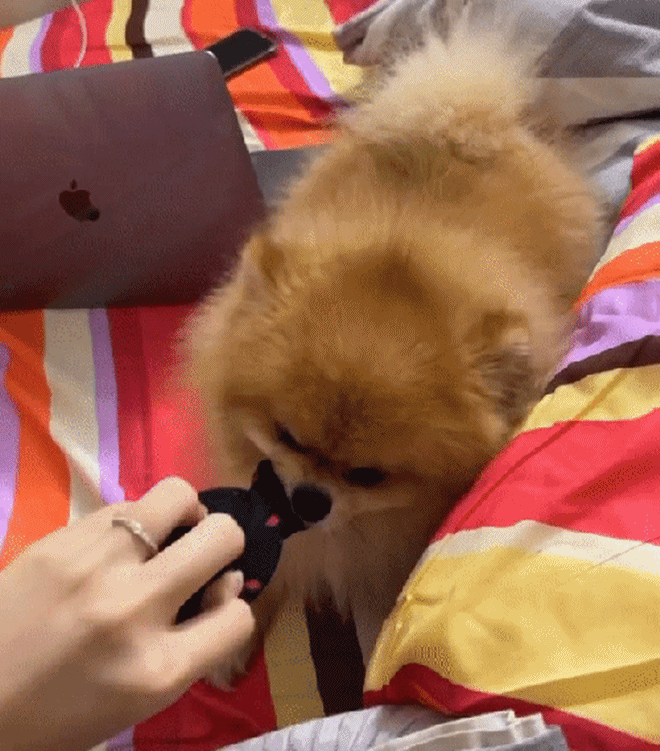 Sao Việt 24h: Leon nhà Hồ Ngọc Hà ghen tị với anh trai khi được mẹ ôm, thân hình amp;#34;dài ngoằngamp;#34; của Subeo đập vào mắt - 14