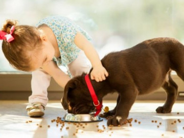 Con gái bữa nào cũng ăn thun thút nhưng chẳng tăng cân, mẹ choáng khi biết thủ phạm là boss trong...