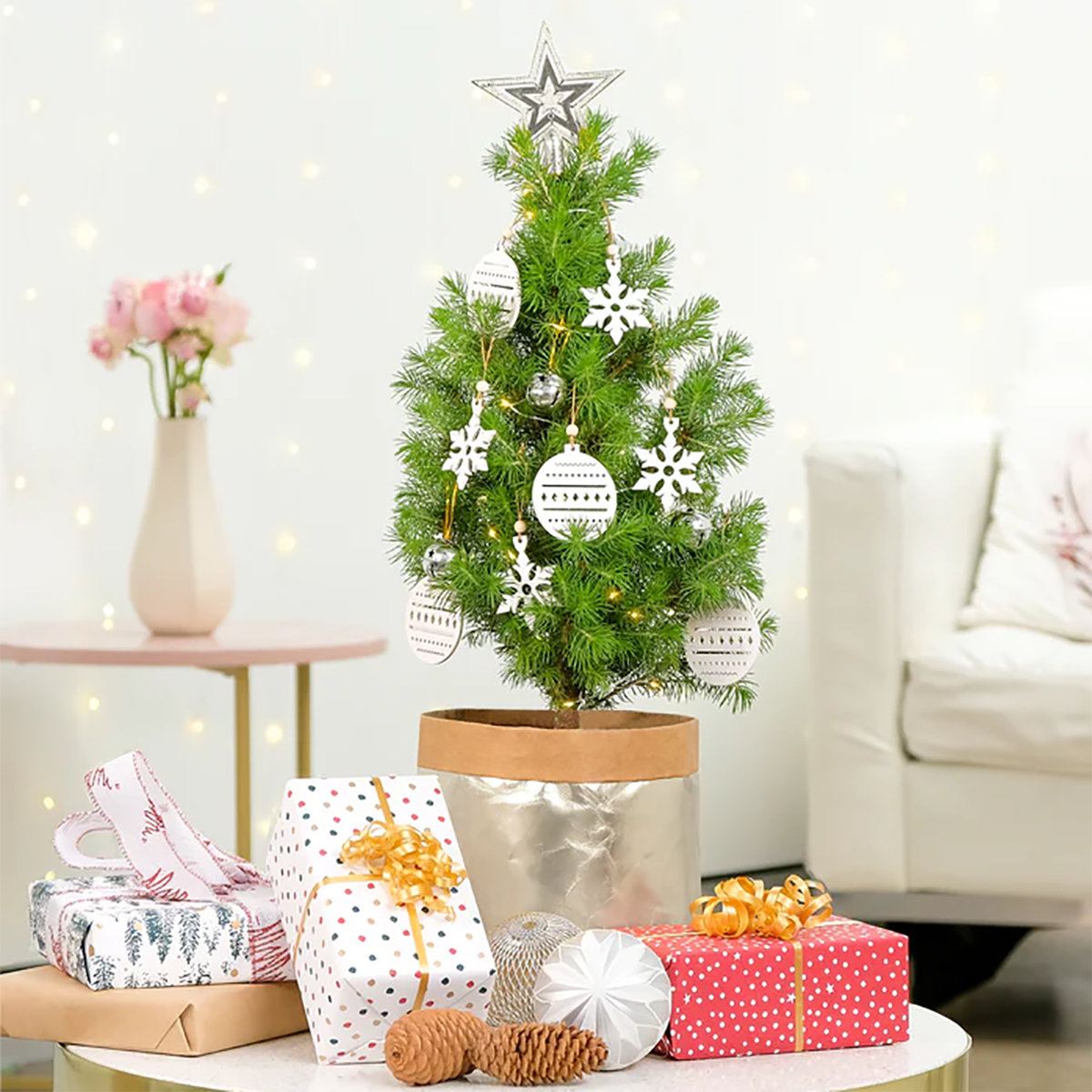 7 loại cây cảnh vừa nhìn đã thấy rộn ràng không khí Noel, có loại chỉ vài chục ngàn - 5