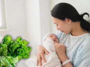 Sức khỏe - Cách rửa rau sống để sạch hóa chất muôn người mách nhau sai bét, mà rau có sạch cỡ nào 5 người này cũng chớ đụng