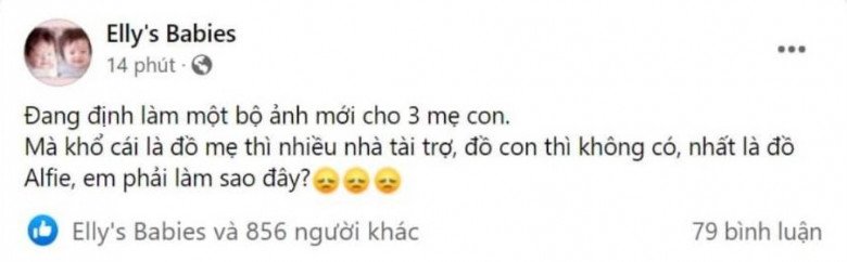 Dòng trạng thái trên fanpage của Elly Trần nhận nhiều sự chỉ trích từ cộng đồng mạng và nhanh chóng bị xóa đi.