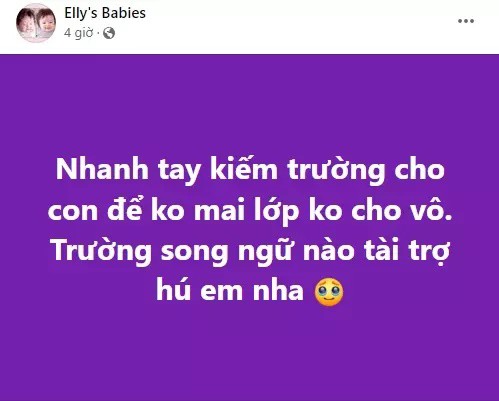 Bài đăng tìm trường song ngữ tài trợ cho 2 con của Elly Trần cũng từng gây tranh cãi.