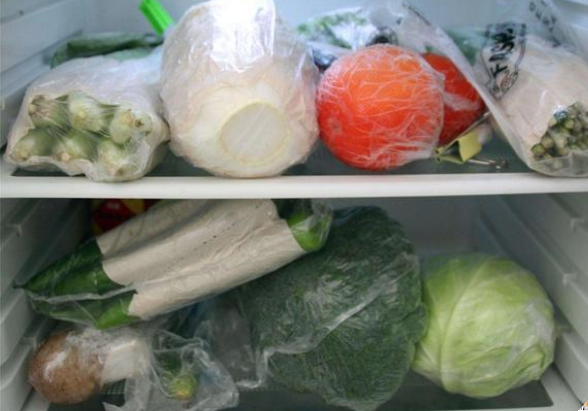 Khi mua rau về, đừng vội cho vào tủ lạnh, hãy lót giấy ăn lên thành quả, để cả tháng rau vẫn tươi mà không héo.