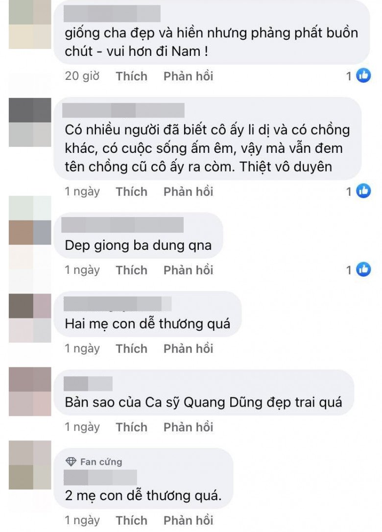 Trước những lời nhận xét Bảo Nam giống bố, một khán giả cho rằng việc réo tên Quang Dũng trong các bài đăng của Jennifer Phạm là kém duyên.