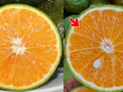 Bếp Eva - Mua cam cứ nhìn lướt điểm này, chỉ 1 giây là biết cam Trung Quốc hay Việt Nam, đọc xong nhớ nói cho mọi người cùng biết