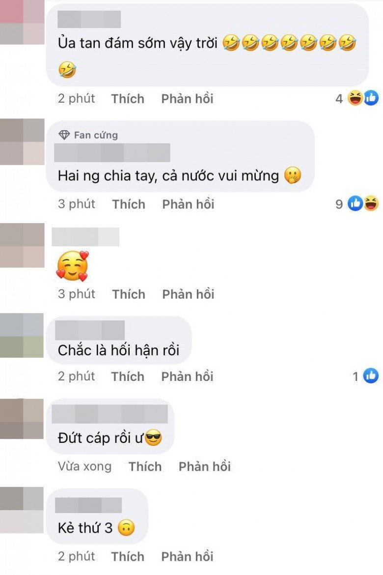 Nhiều bình luận mỉa mai được để lại dưới bài đăng buồn bã của Phương Oanh.