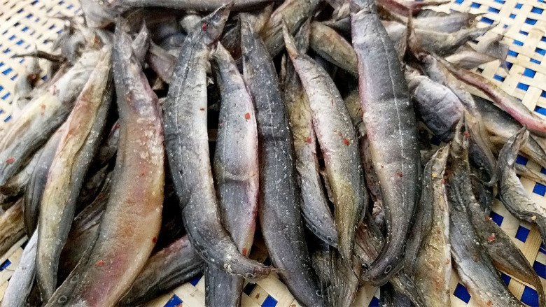 Khô cá chạch có giá đắt đỏ vẫn được ưa chuộng