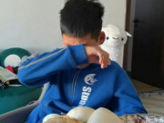 Clip Eva - Cậu bé khóc nức nở khi bị mẹ cho ăn trứng 4 ngày liên tiếp