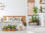 Nhà đẹp - 2 loại cây cảnh nghe tên rất “lộc lá”, nhưng đặt trong phòng ngủ sẽ làm Thần Tài phật ý