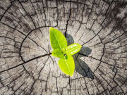 Eva tám - 10 bài học thấm thía từ nghịch cảnh giúp bạn thay đổi cuộc sống của mình