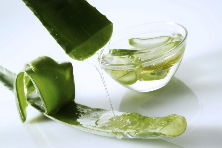 Nha đam có thể giúp thúc đẩy quá trình trao đổi chất, tăng lượng calo đốt cháy. (Ảnh minh họa)
