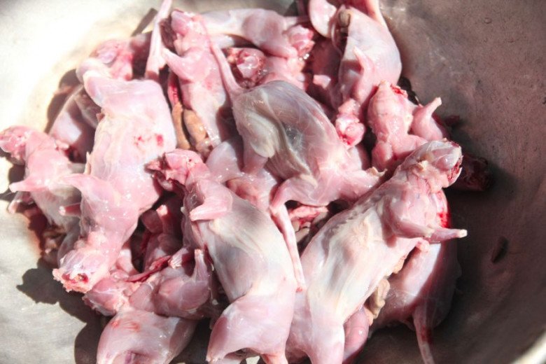 Đặc sản Bến Tre tưởng ghê rợn nhưng ngon quên sầu, chỉ để dành đãi khách quý - 1