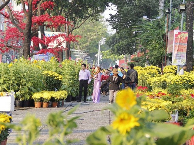 Muốn mua cây cảnh Tết giá rẻ tại TP.HCM phải biết những nơi này, mẹo chọn mua cây hoa đón tài lộc vào nhà - 7