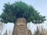 Eva tám - Trắc nghiệm tâm lý: Điều đầu tiên bạn nhìn thấy tiết lộ người bảo vệ bạn trong đời