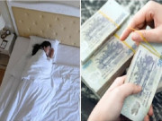 Tin tức - Chỉ việc Ngủ cũng đếm tiền mỏi tay, là 1 trong 12 nghề HOT “Việc nhẹ lương cao” ai cũng mơ ước