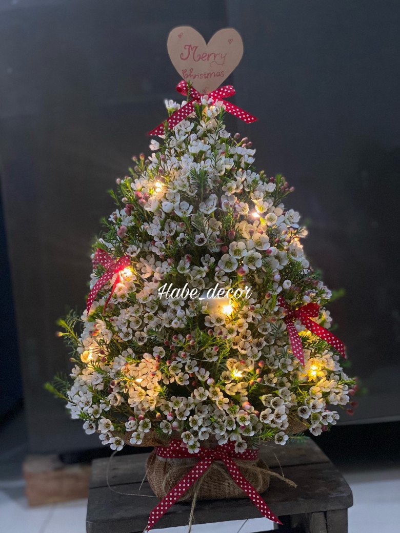 Độc lạ 9X Hải Phòng amp;#34;hô biếnamp;#34; cây thông nở hoa đủ màu, cắm hàng trăm bình hoa thông dịp Giáng Sinh - 8