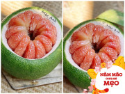 Bếp Eva - 9X mách cách bóc bưởi cực đẹp và dễ tha hồ bày đãi khách, 10 người 11 người phải hỏi bí quyết