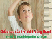 Clip Eva - Chiều cao của trẻ khi trưởng thành có thể dự đoán bằng những cách sau