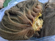 Xem ăn chơi - Đặc sản xưa chỉ dành cho người nghèo, giờ được dân thành phố đam mê vì hương vị lạ, 320.000 đồng/kg