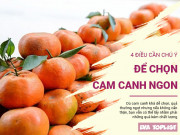 Clip Eva - 4 điều cần chú ý để chọn cam Canh ngon không phải ai cũng biết, trăm quả ngọt như một